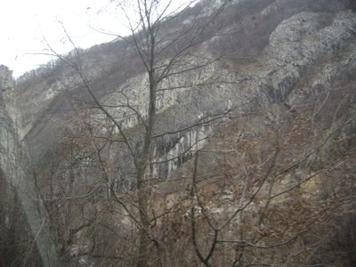 Copy of Picture 150.jpg, 84 KB