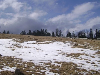 Copy of Picture 166.jpg, 88 KB