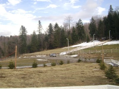 Copy of Picture 168.jpg, 80 KB